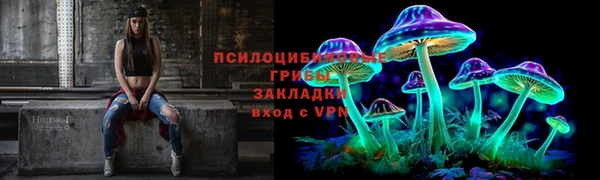 mdma Дмитриев