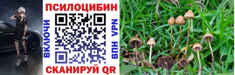 Псилоцибиновые грибы MAGIC MUSHROOMS  Нижняя Салда 